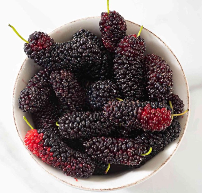 오디의효능 8가지