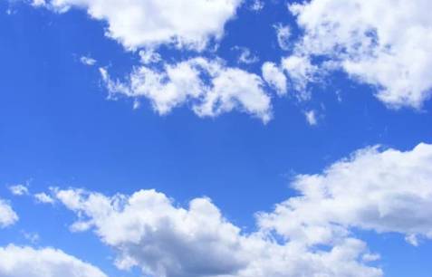 2025 처서 날짜·뜻 총정리|‘처서 매직’은 뭘까? 올해 전망까지