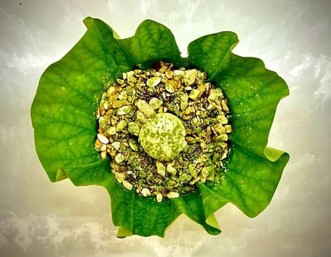 꽃뫼카페휴게소