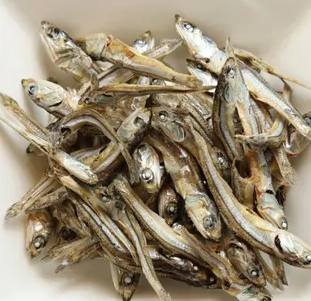 고양이에게 멸치를 줄 때 주의할 점