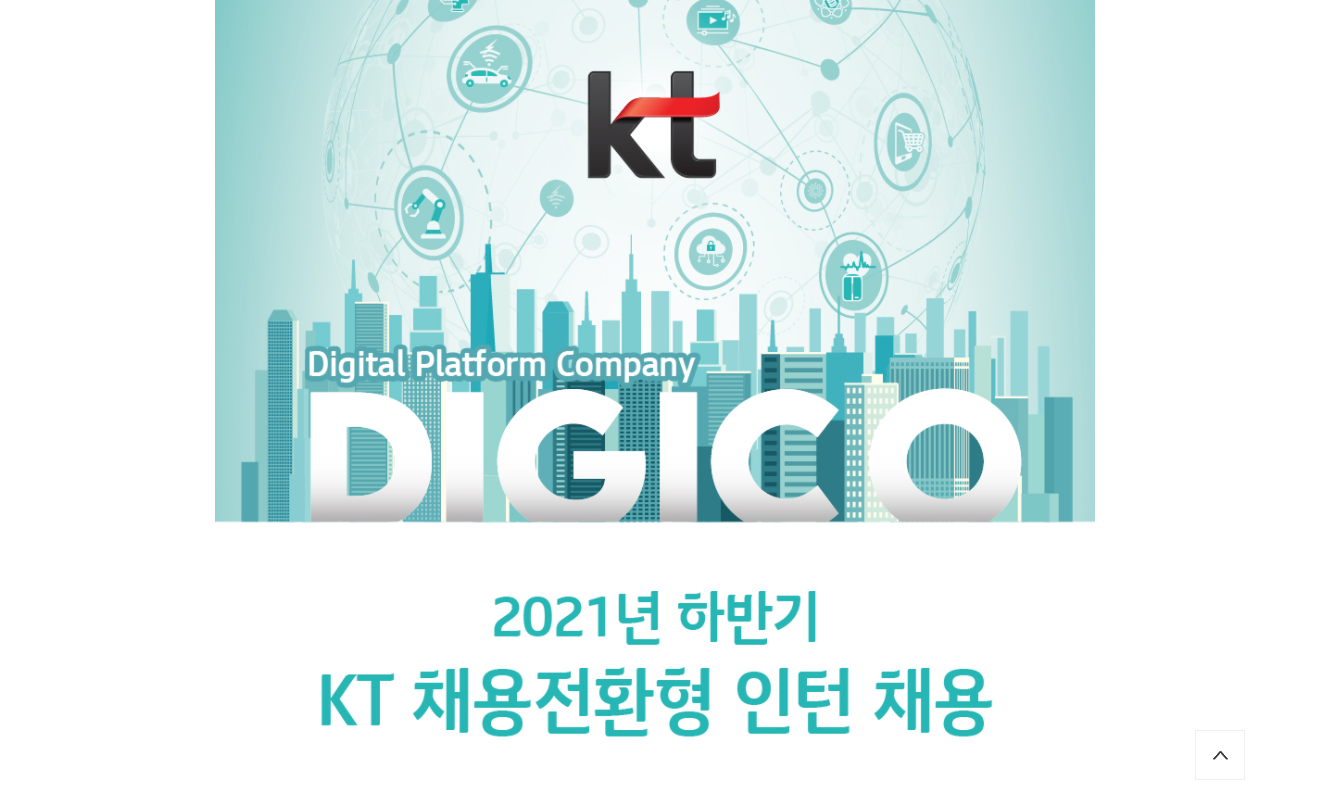 KT 채용