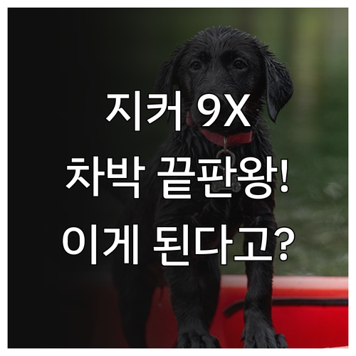 지커 9X 야외 활동 최적화 성능과 ..