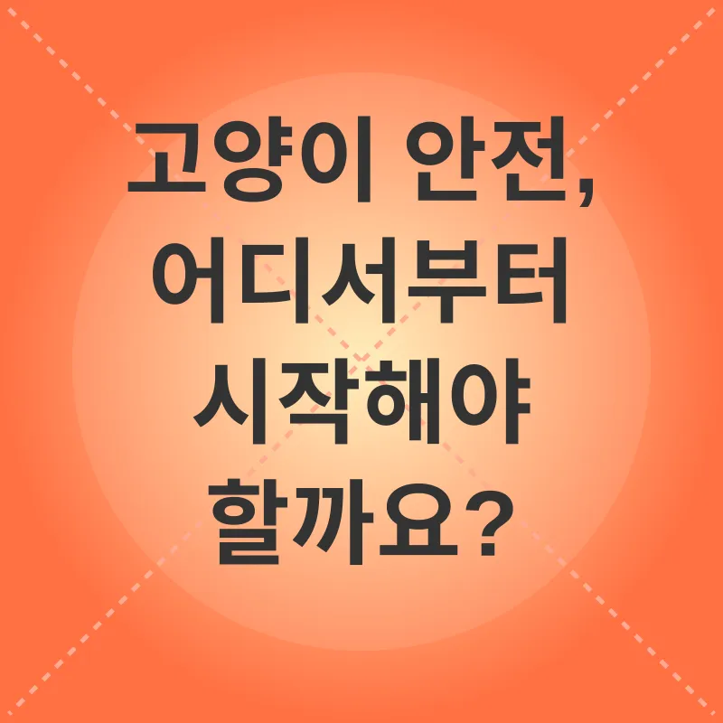 고양이 안전_2