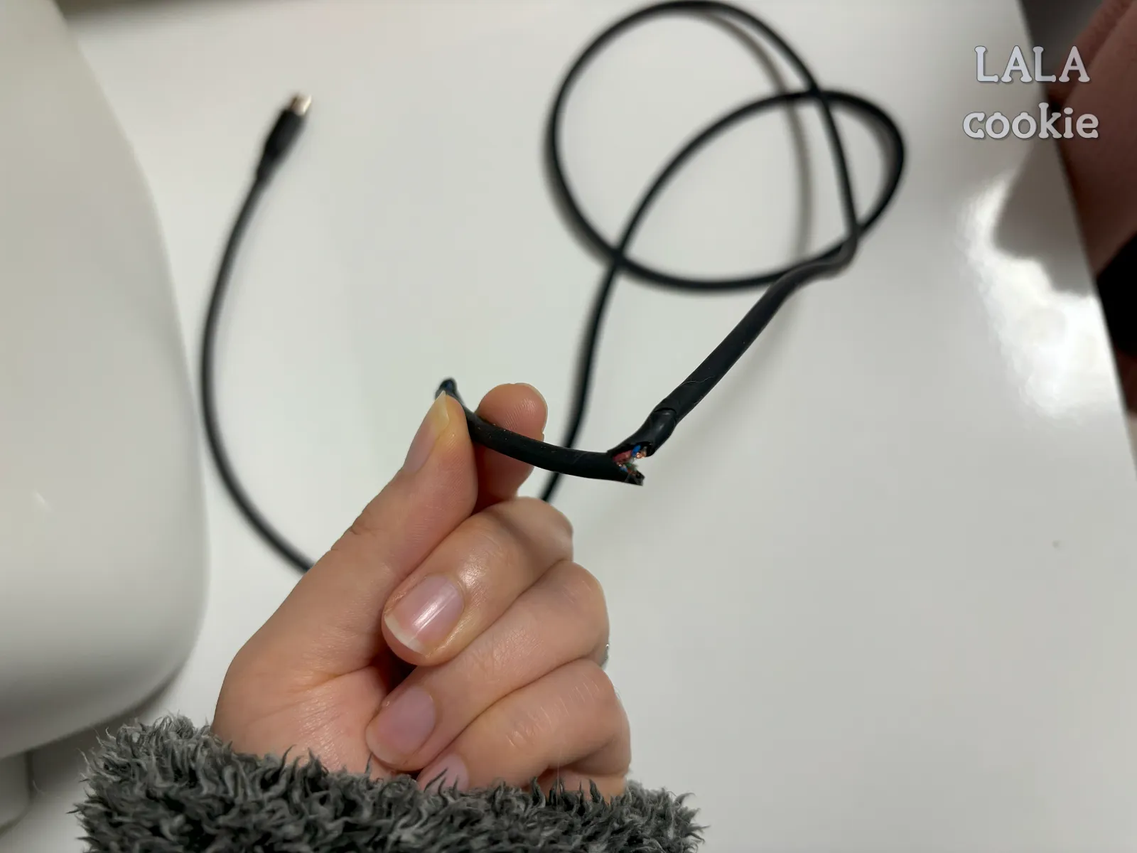 고양이-장난감-쥐꼬리-부작용-휴대폰-충전-케이블-뜯긴-모습