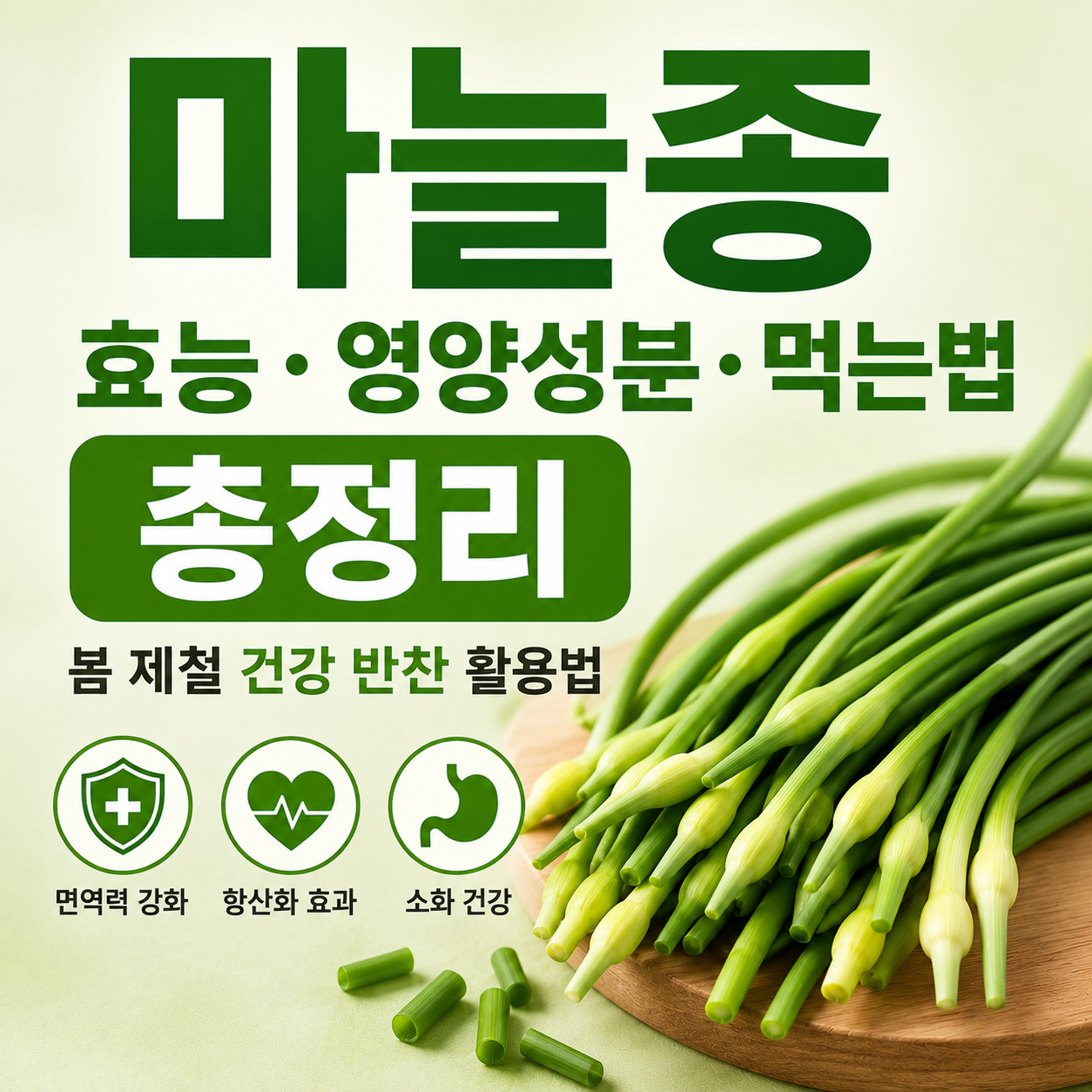 마늘종 효능