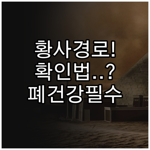 정확한 황사 경로 확인법 및 호흡기 ..