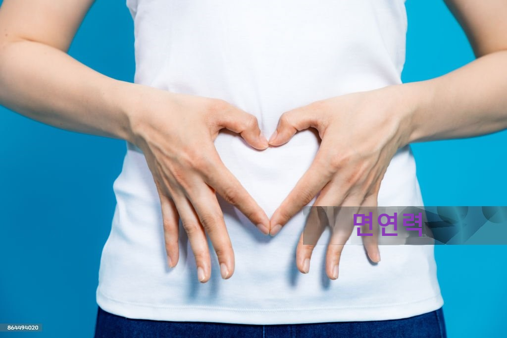 면연력은 장건강