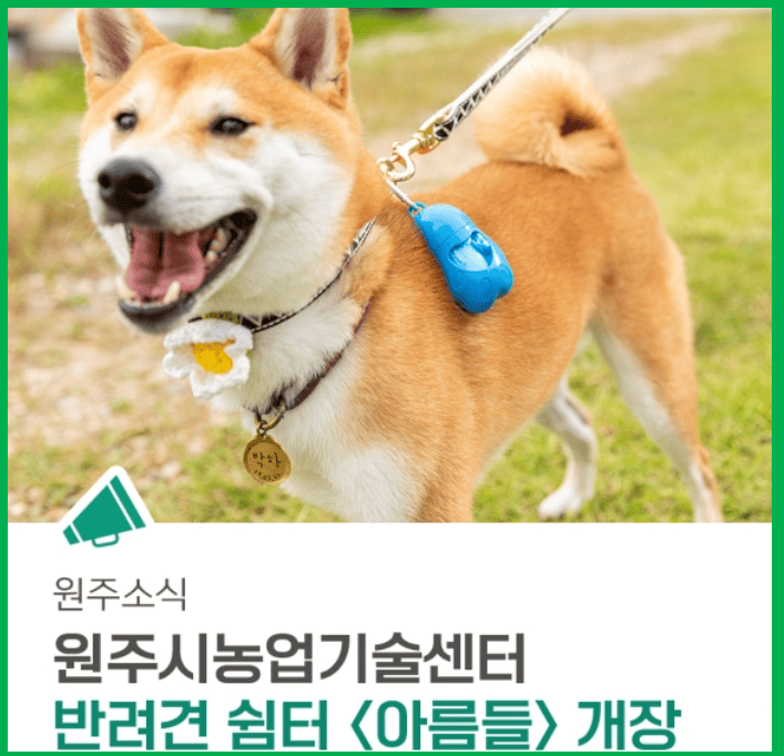 반려견쉼터
