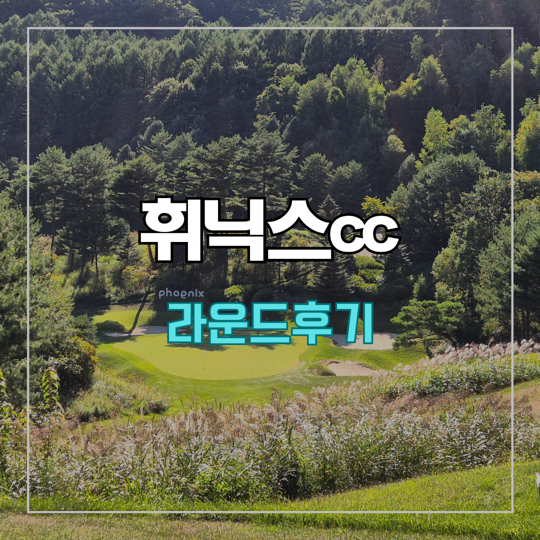 휘닉스cc