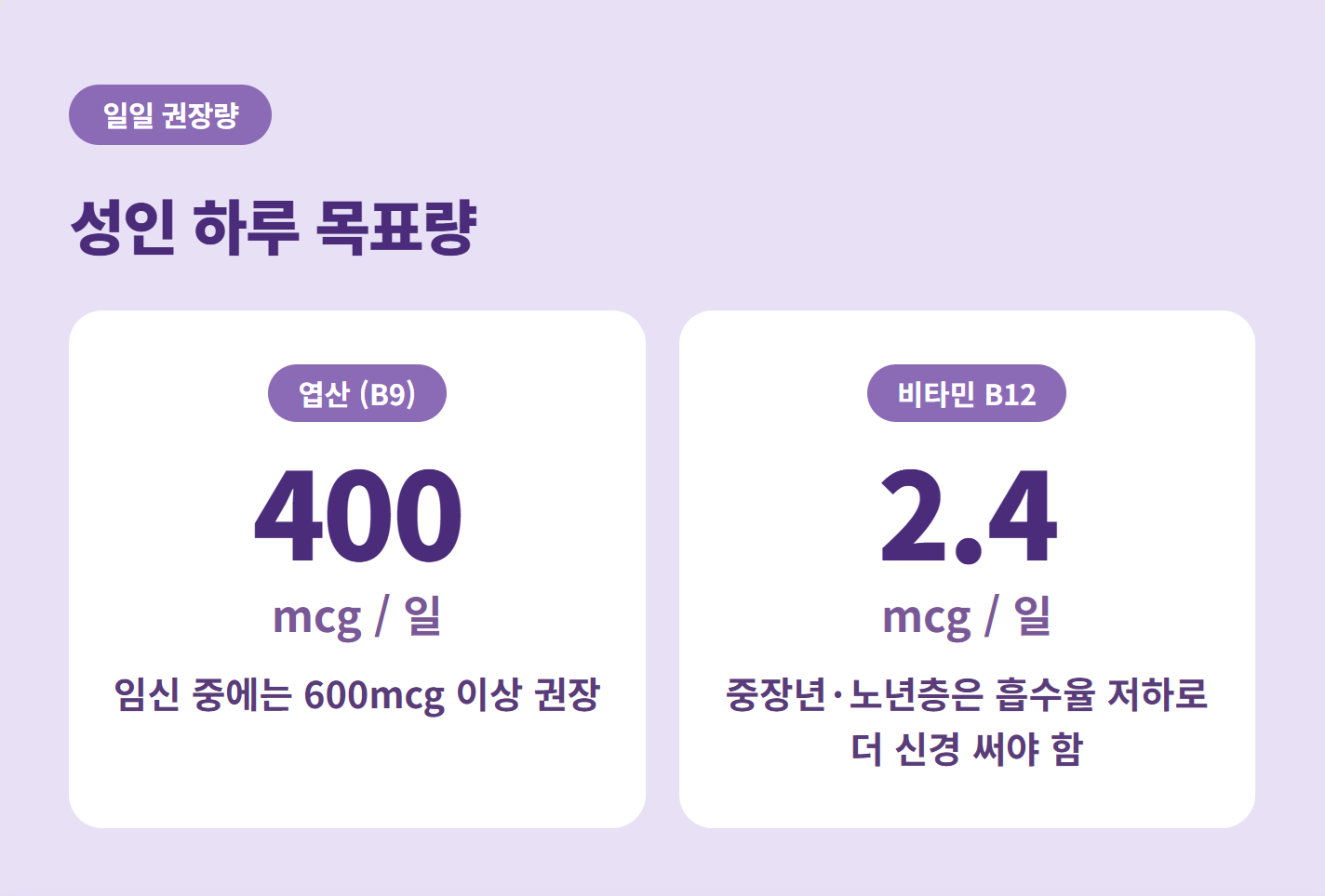 성인 하루 엽산 400mcg, 비타민 B12 2.4mcg 권장 섭취량 정보