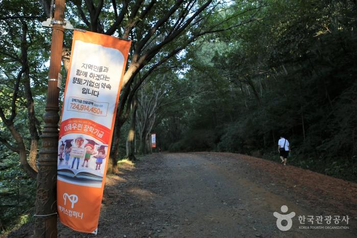 대전근교 주말나들이 계족산 황톳길