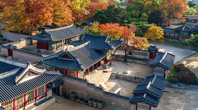 창덕궁후원