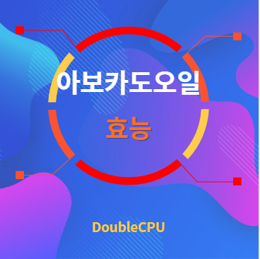 아보카도오일 효능 탐구