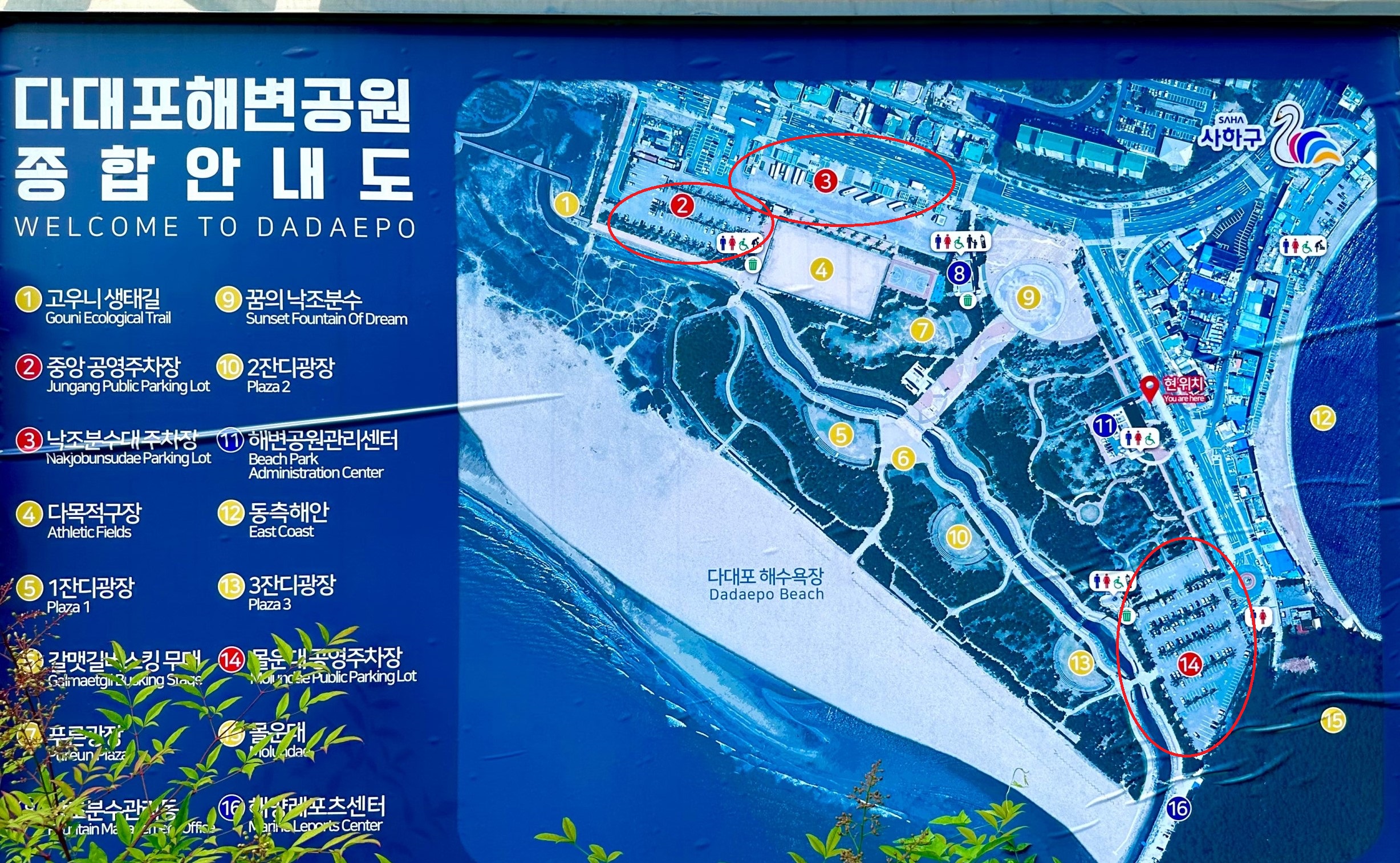 2024-별바다부산-나이트-페스타-뮤직-캠크닉