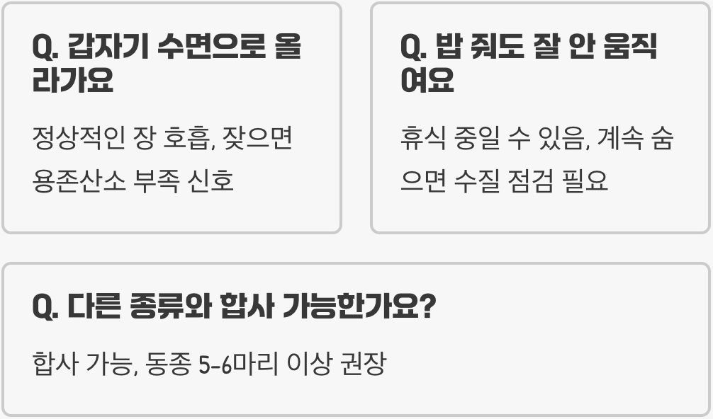 초보자가 코리도라스 키울 때 가장 많이 하는 실수 5가지