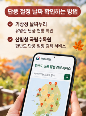 2026 단풍시기 언제일까? 지역별 첫 단풍과 절정 시기 알아보기