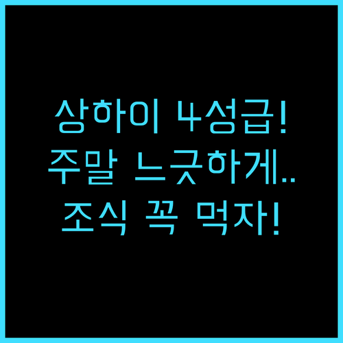 래디슨 컬렉션 하이랜드 상하이 느긋한..
