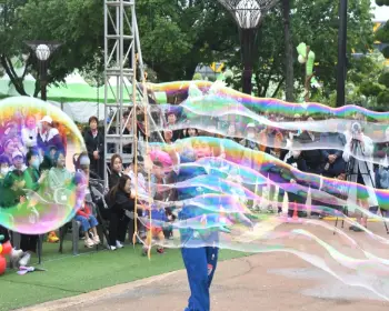 함평 나비축제_3