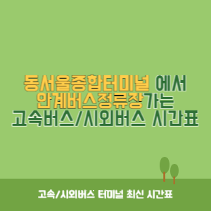 동서울종합터미널에서 안계버스정류장 가는 고속버스_시외버스 시간표 최신정보