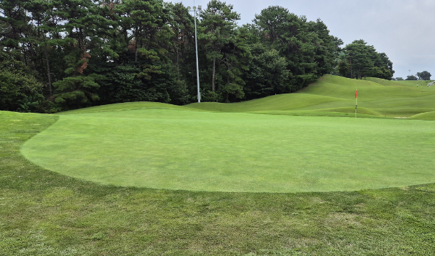 한림용인 CC 사진5