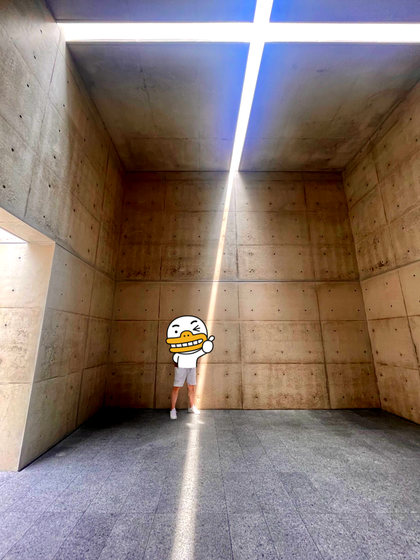 뮤지엄 산 빛의 공간 빛이 충만5