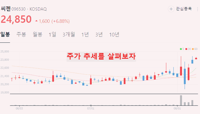 코로나 관련주 대장주 10 종목 정리 : 진단키트