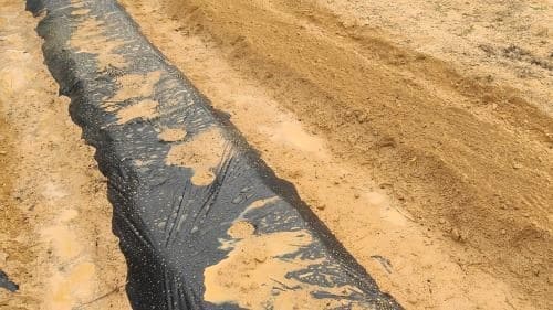 호랑이강낭콩-울타리콩-재배-거름주기-밑거름-시비량