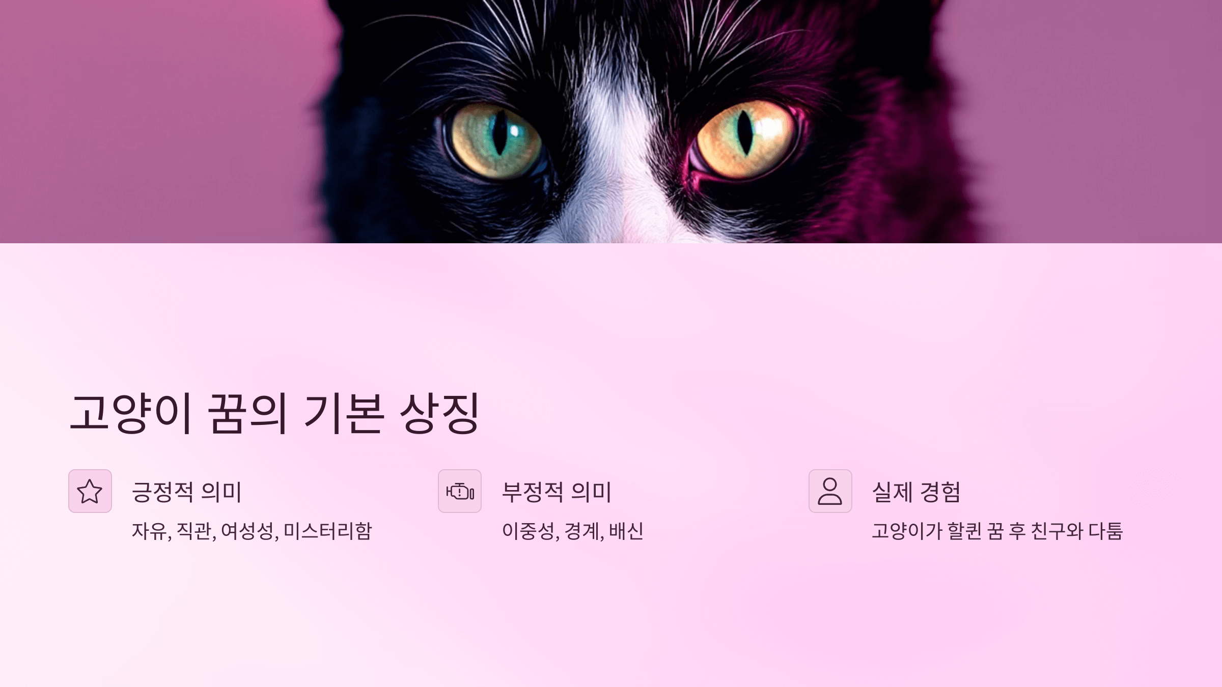 고양이 사진입니다.