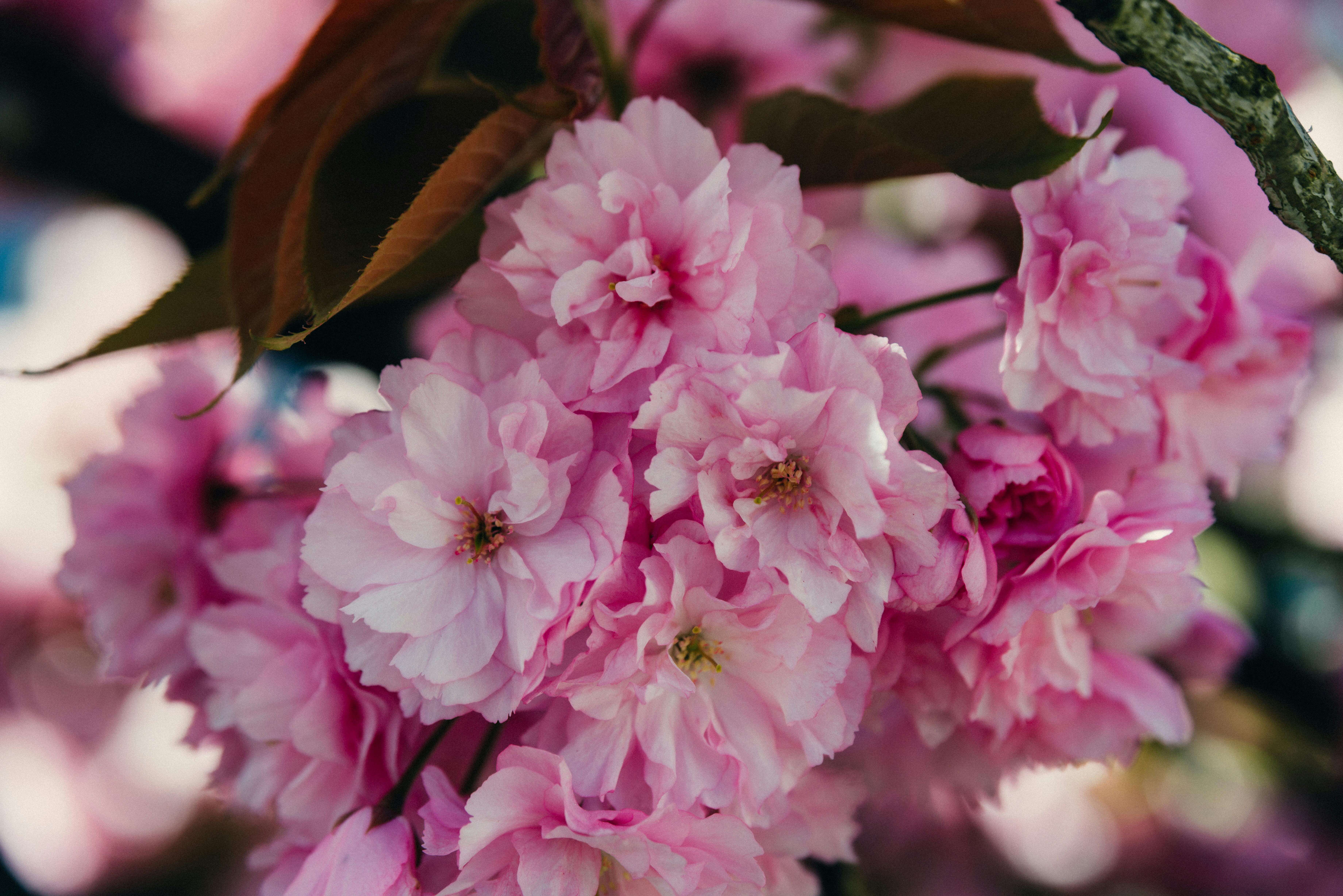 아르테코 양산 - 자외선 차단율, 디자인, 무게와 사이즈, 우산겸용, 가격
