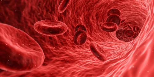 하늘마 효능, 부작용, 먹는 법 알아보기