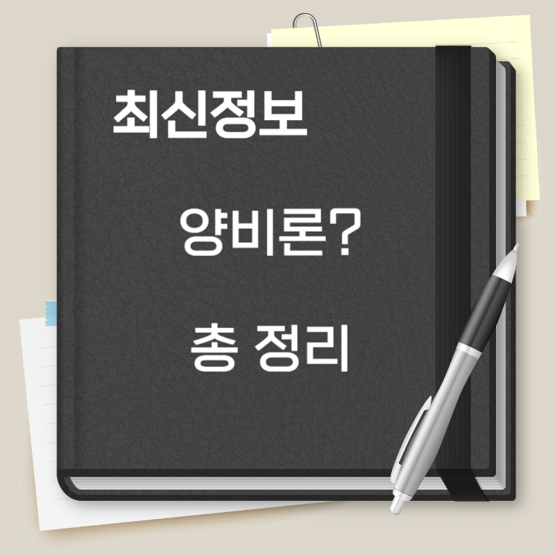 양비론이란