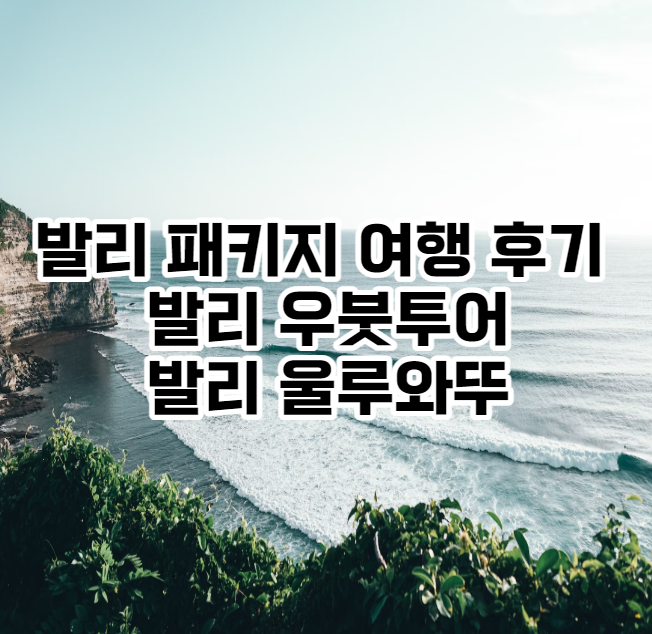 발리 패키지 여행 후기