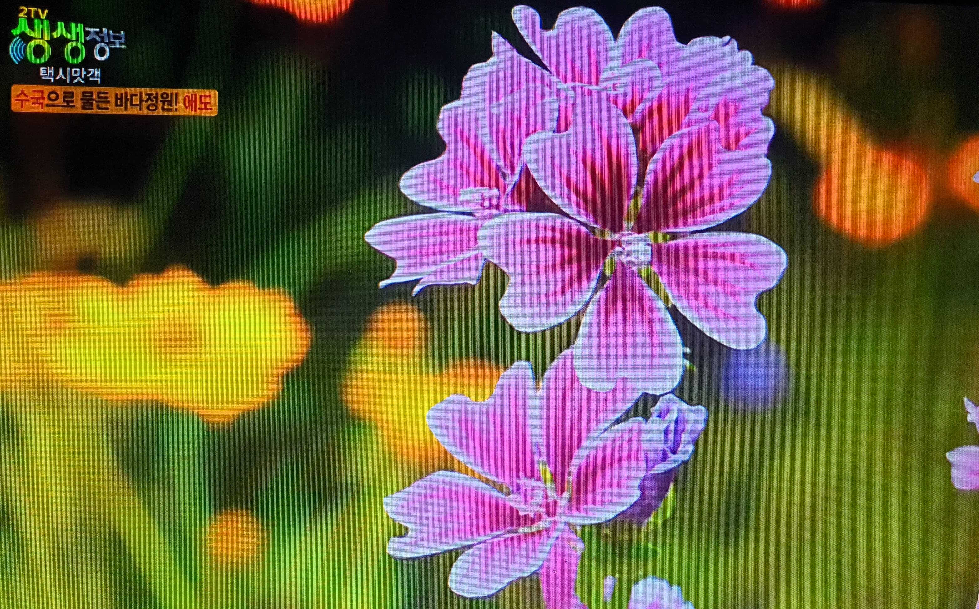 전남 고흥 가볼만한 곳 BEST 3