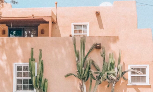 집에 바퀴벌레 있는지 없는지 확인하는 방법 (바퀴벌레 종류)