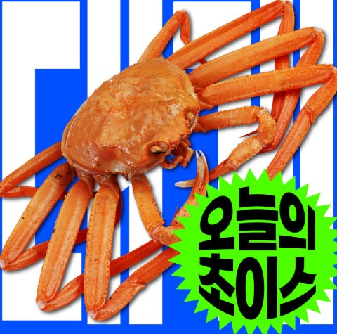 생방송투데이 오늘도 달린다 청년 사장 달려야 산다 노량진 도시어부 피쉬서핑