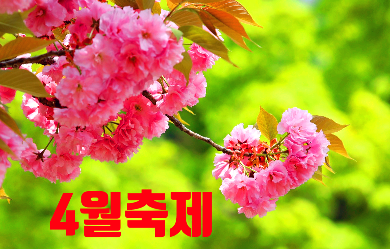 4월축제