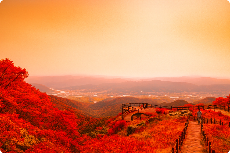 지리산 노고단 이미지+단풍 가상이미지/출처: 국립공원공단 지리산 지구