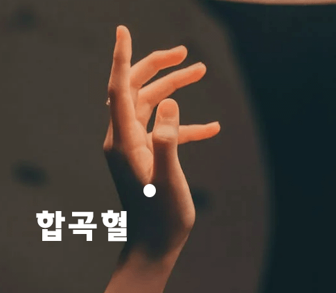 두통 손지압 위치 합곡혈