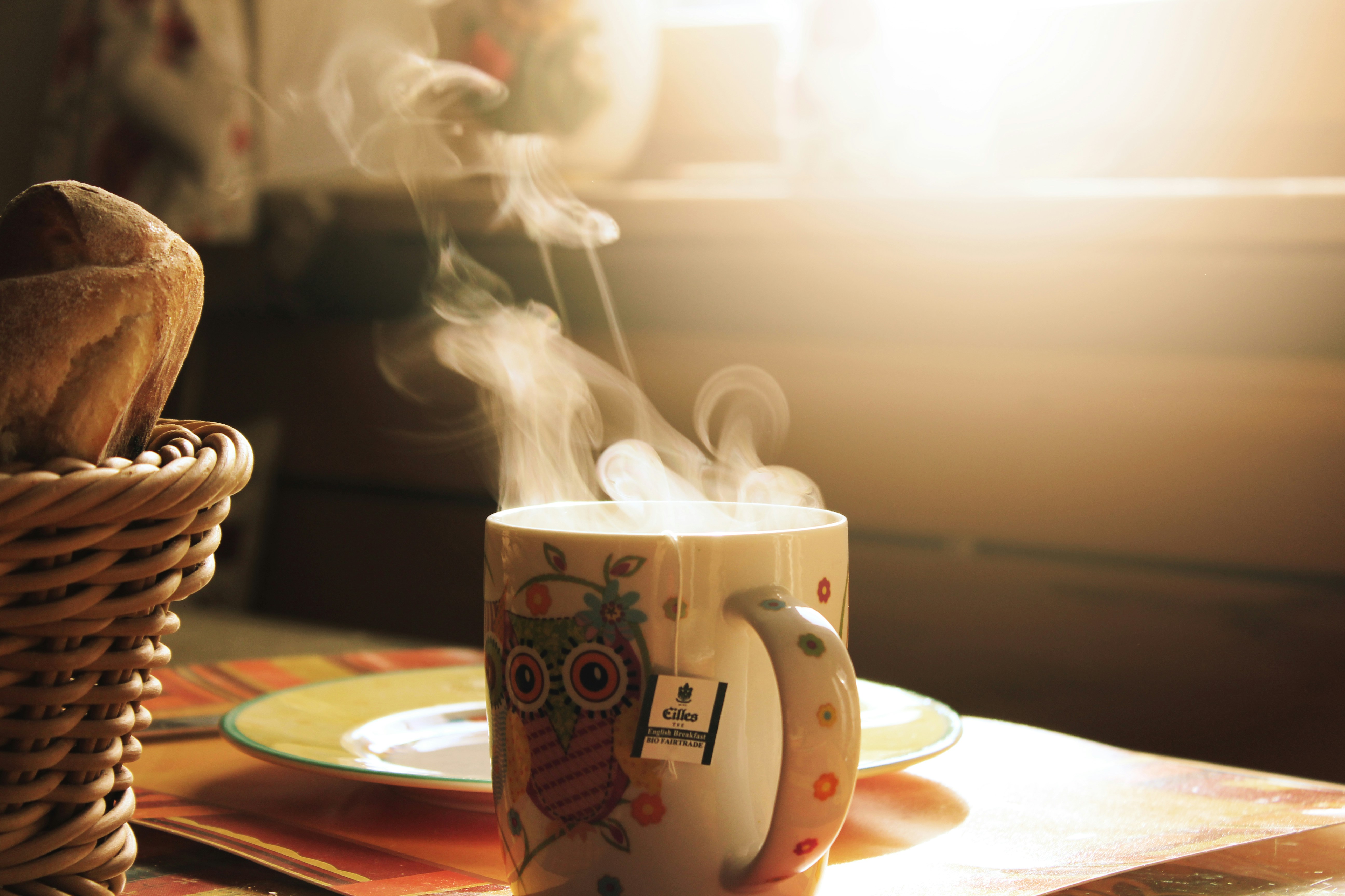 morning warmth 관련 사진
