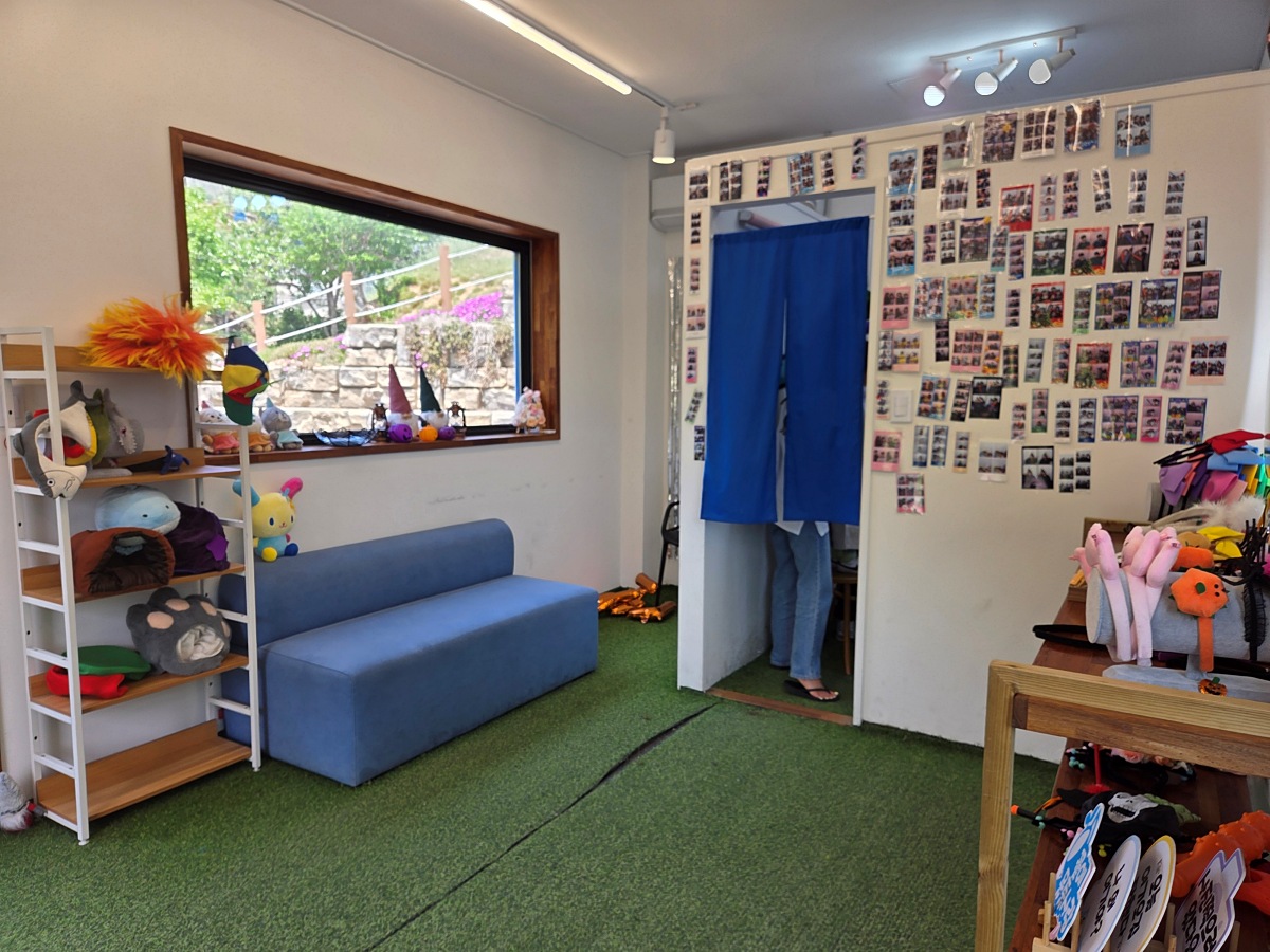 동해 묵호 도째비골 스카이밸리 카페 째비네컷앤카페|할인 꿀팁 및 후기