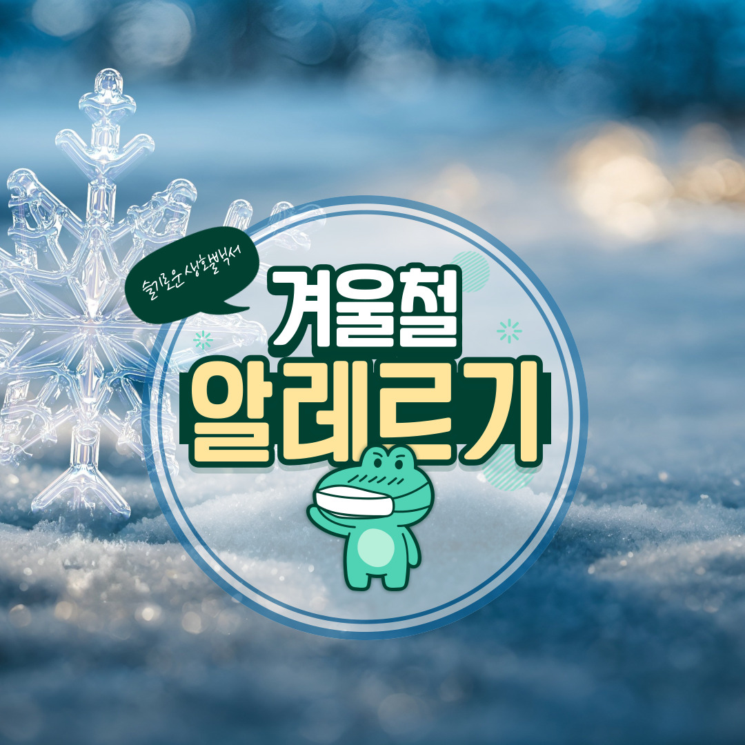 겨울철 알레르기