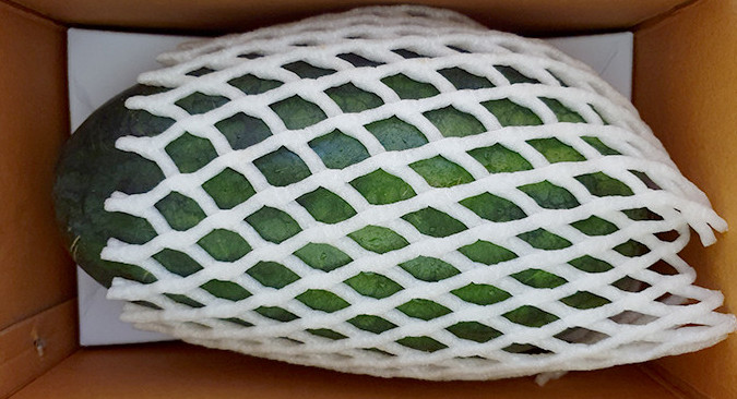 극한직업 고창 수박