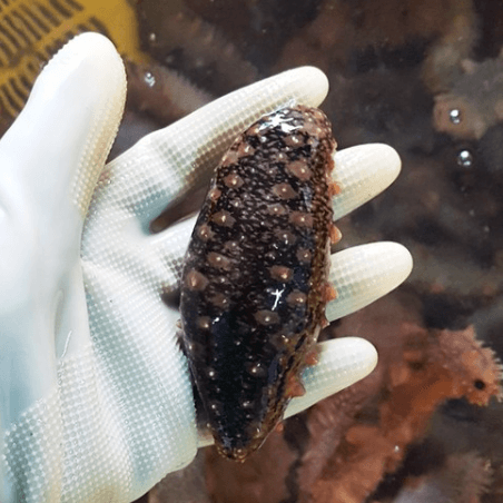 가을철 제철음식 추천