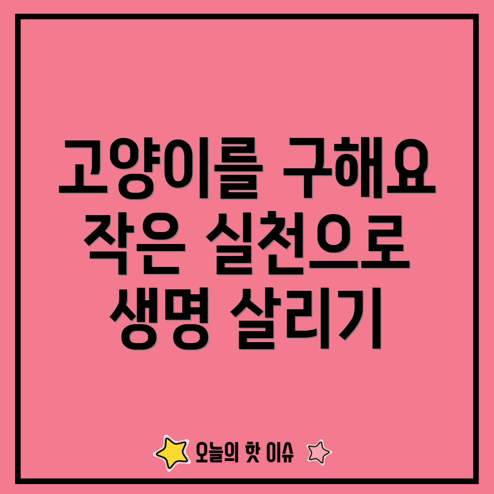 고양이 헌혈 프로그램