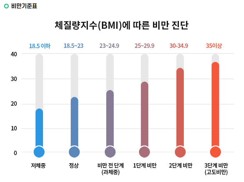 체질량지수와 비만도