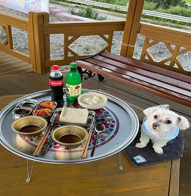 푸레기마을
