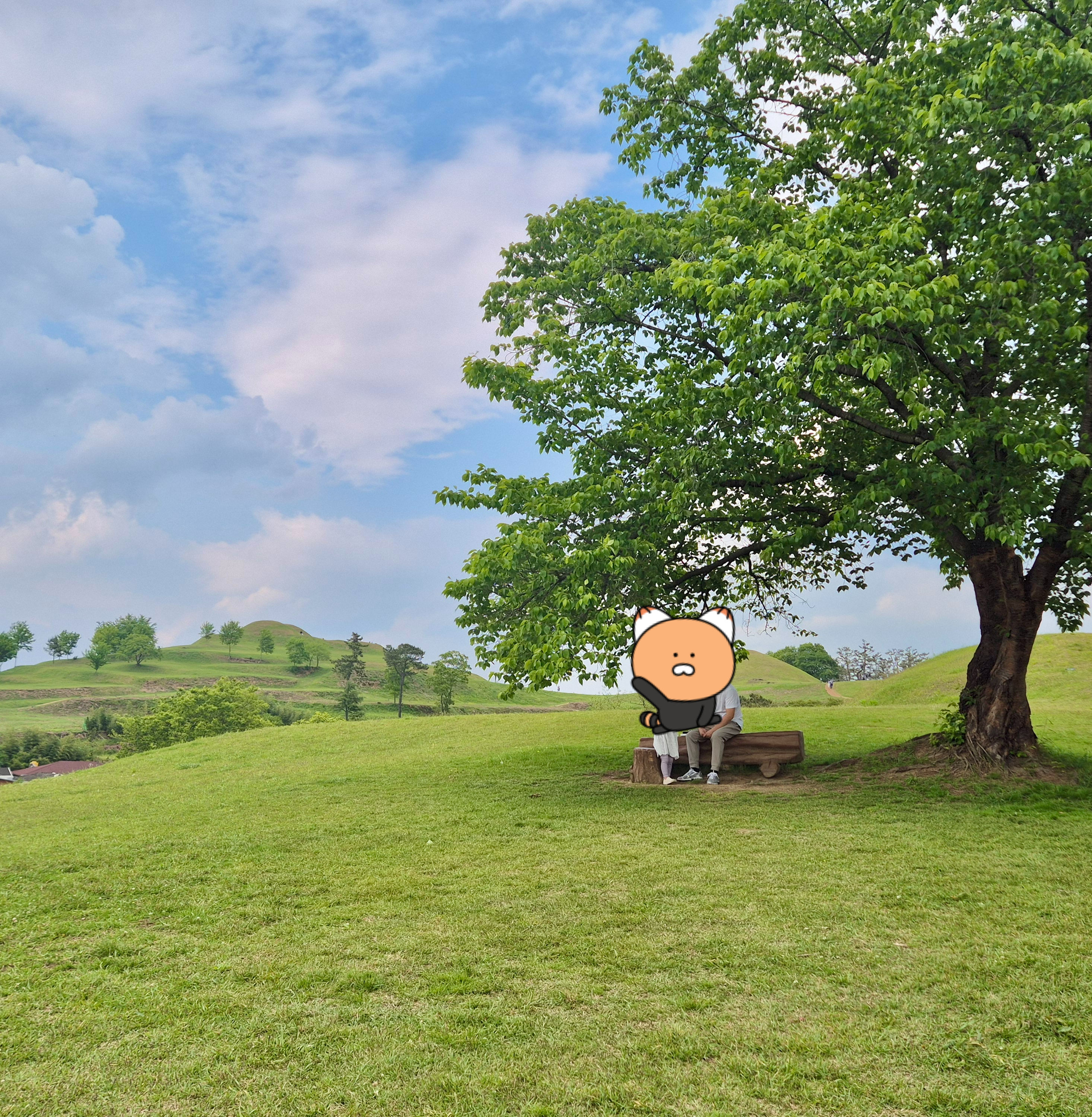 말이산고분 벤치, 말이산고분 포토존, 함안말이산고분
