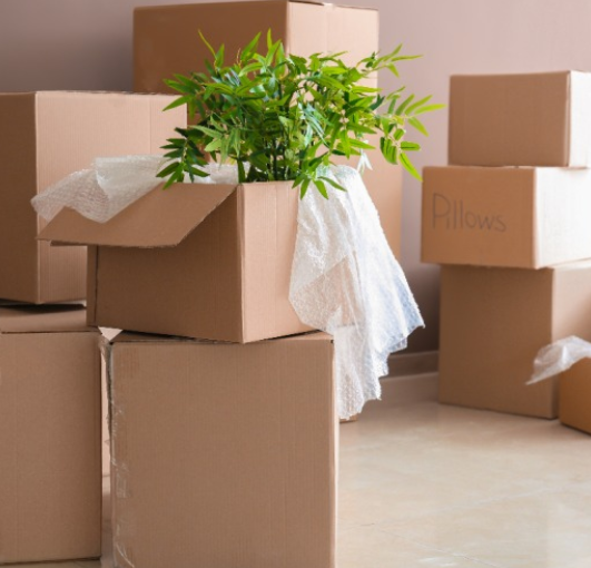 청년 이사비 지원 신청 방법