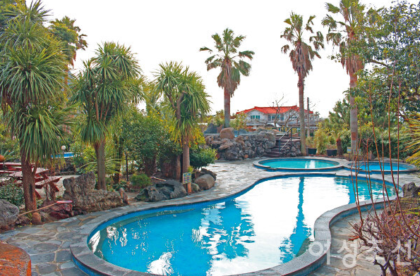 겨울 제주도 여행