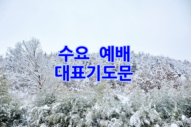 1월 수요 예배 대표 기도문